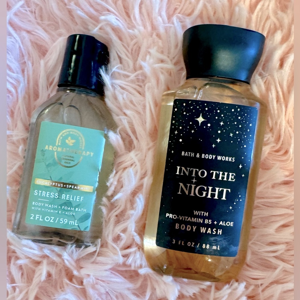 Bath and Body Works Shower Gel (travel size)